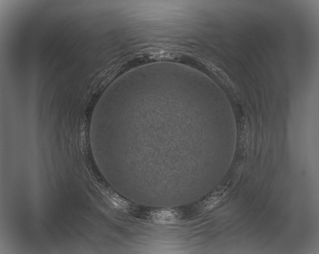 X0000058760513200510031022
