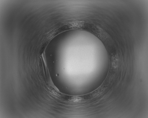 X0000058760514200510031022