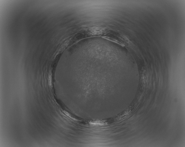 X0000058760516200510031022