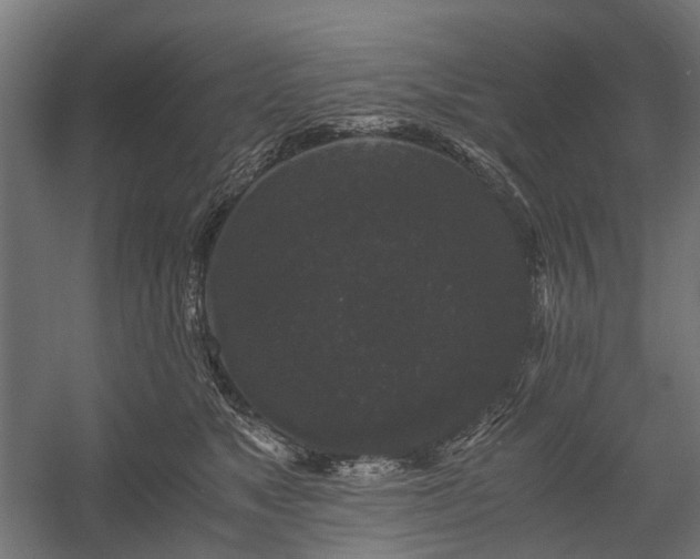 X0000058760517200510031022