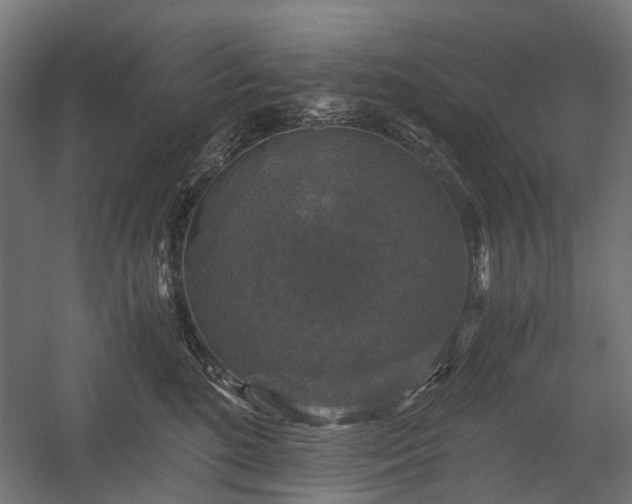 X0000058760520200510031022