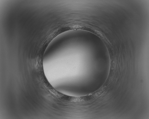 X0000058760521200510031022