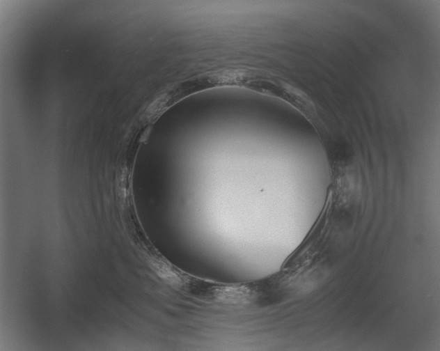 X0000058760525200510031022