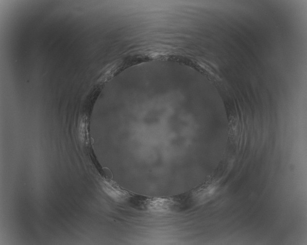 X0000058760527200510031022