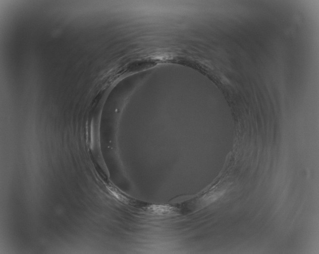 X0000058760528200510031022