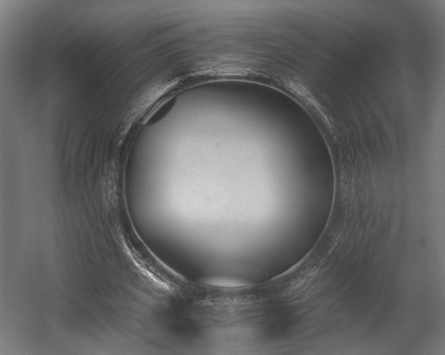 X0000058760533200510031021