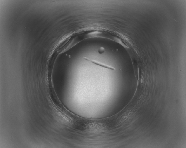 X0000058760535200510031021
