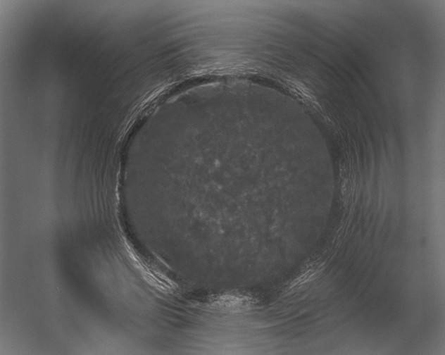 X0000058760542200510031021