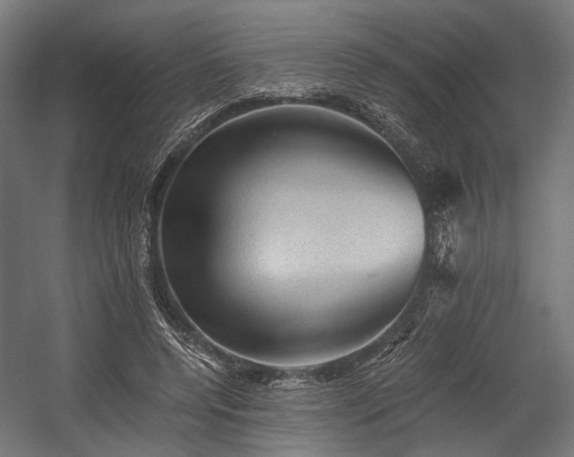 X0000058760544200510031021