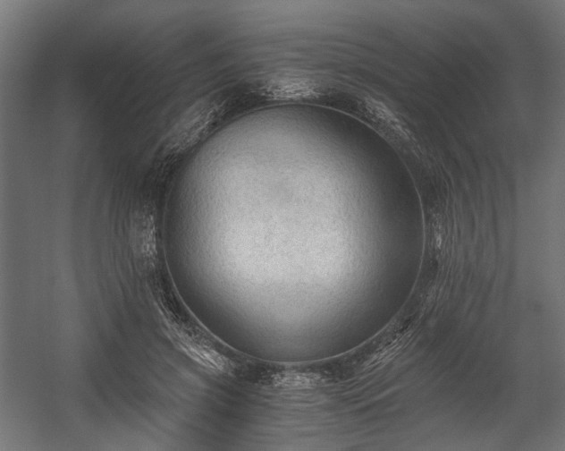 X0000058760549200510031022