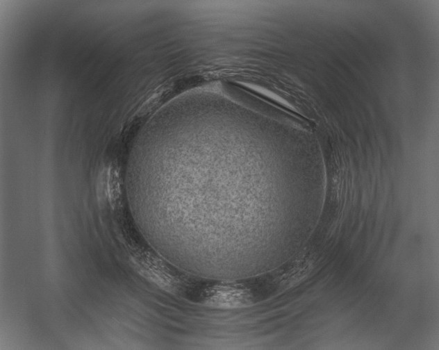 X0000058760555200510031022