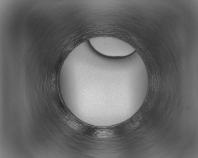 X0000058760557200510031022