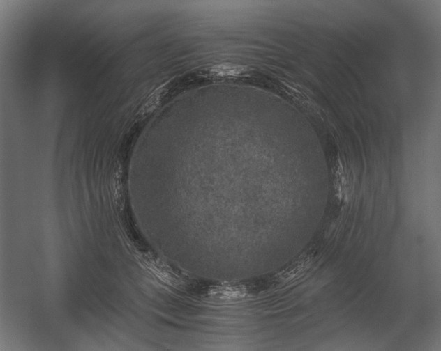 X0000058760559200510031022