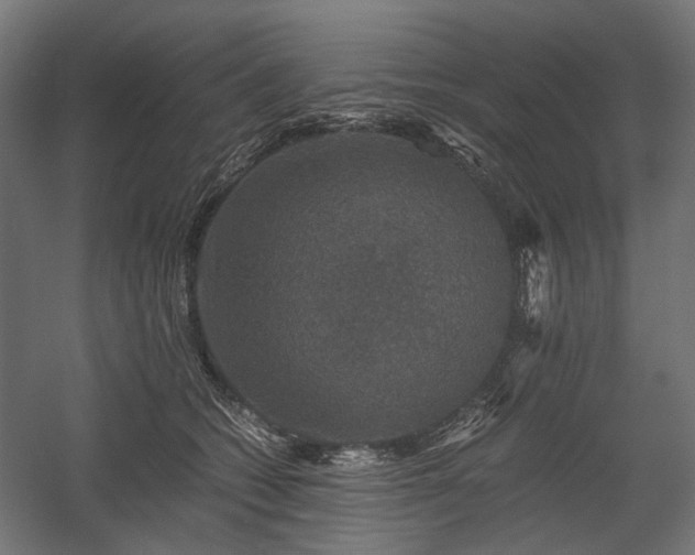 X0000058760562200510031022