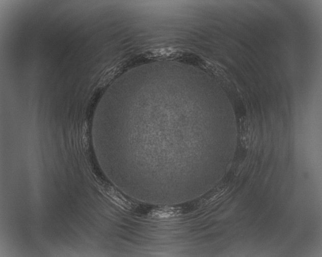 X0000058760563200510031022