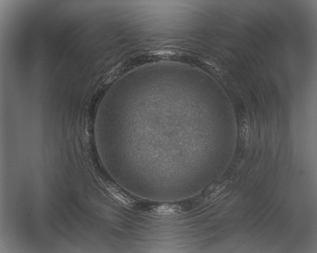 X0000058760566200510031022