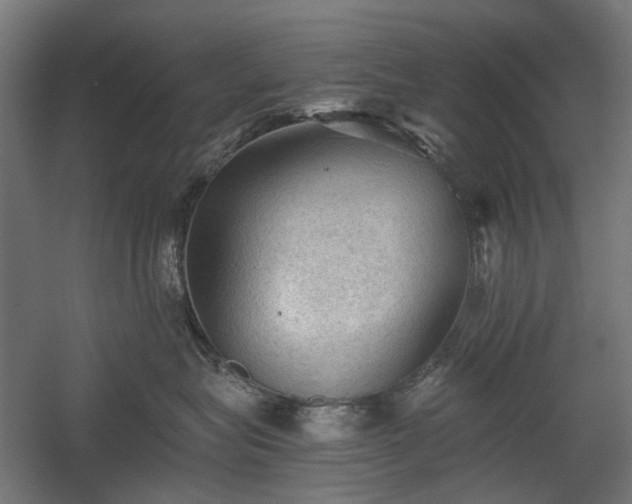 X0000058760575200510031022