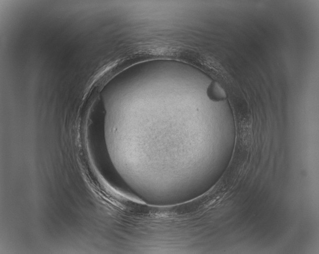 X0000058760587200510031021