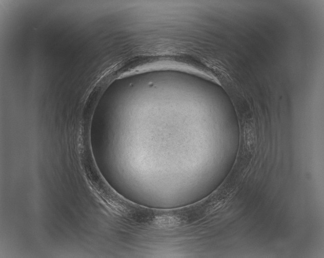 X0000058760591200510031021