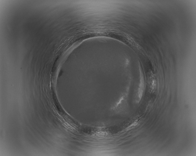 X0000058760593200510031021