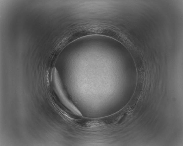 X0000058760597200510031021