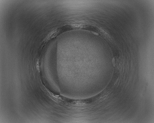 X0000058760601200510031021