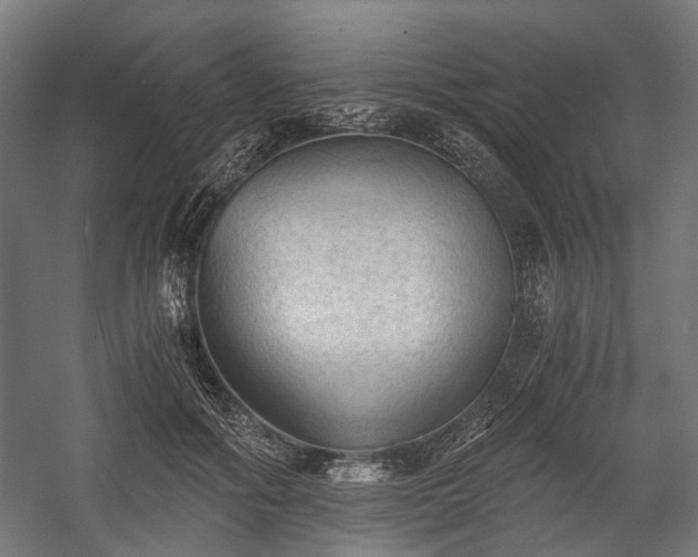 X0000058760602200510031021