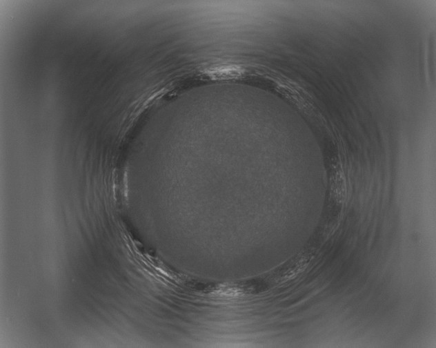 X0000058760604200510031021