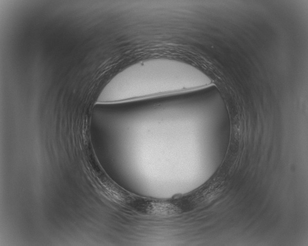X0000058760605200510031021