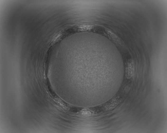 X0000058760608200510031021