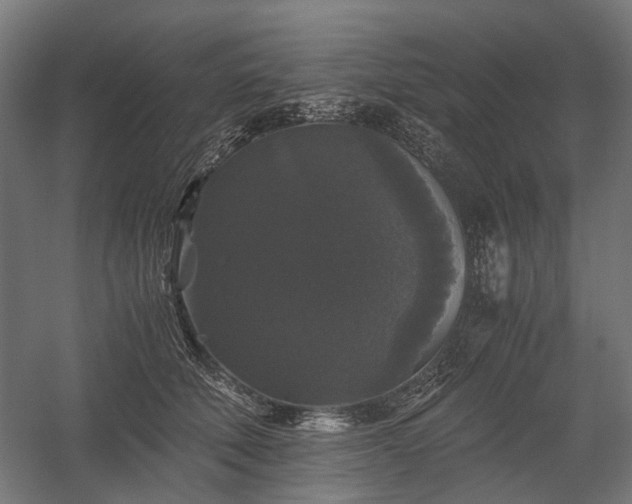 X0000058760610200510031021