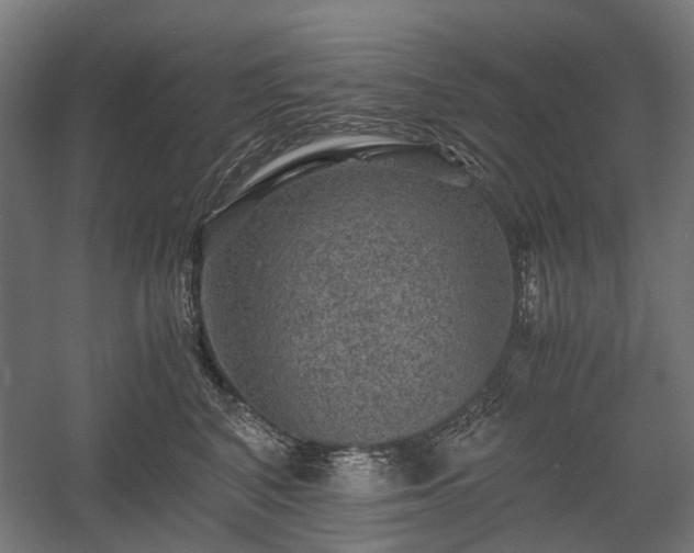 X0000058760616200510031020