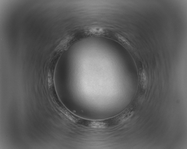 X0000058760617200510031020