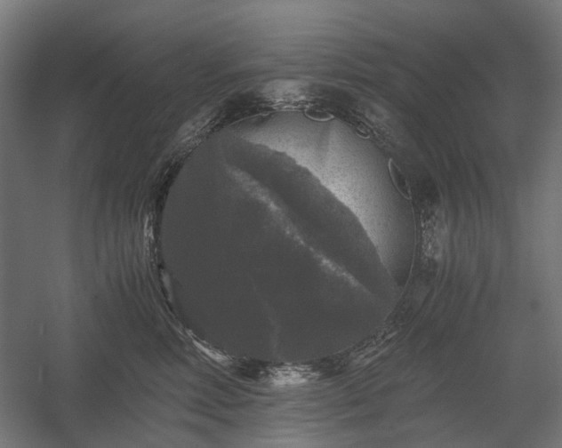 X0000058760618200510031020
