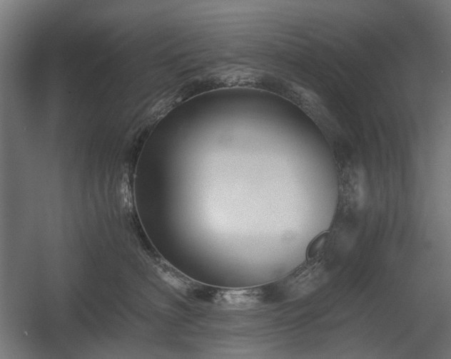 X0000058760622200510031020