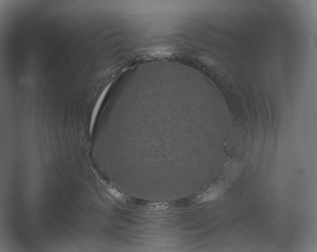 X0000058760624200510031020