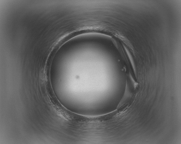 X0000058760628200510031020