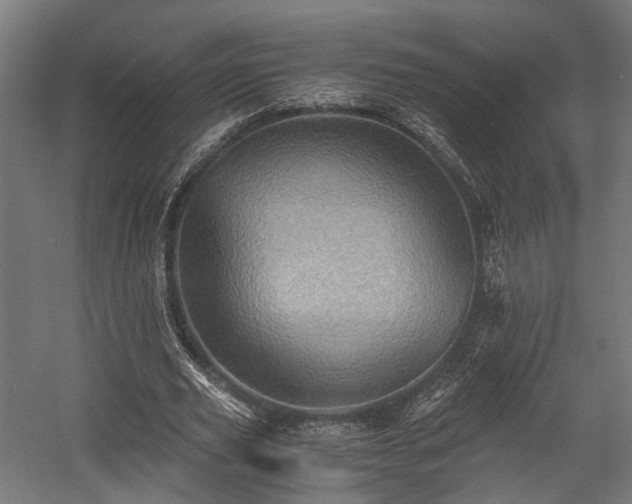 X0000058760629200510031020