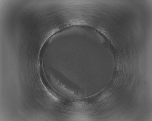 X0000058760630200510031020