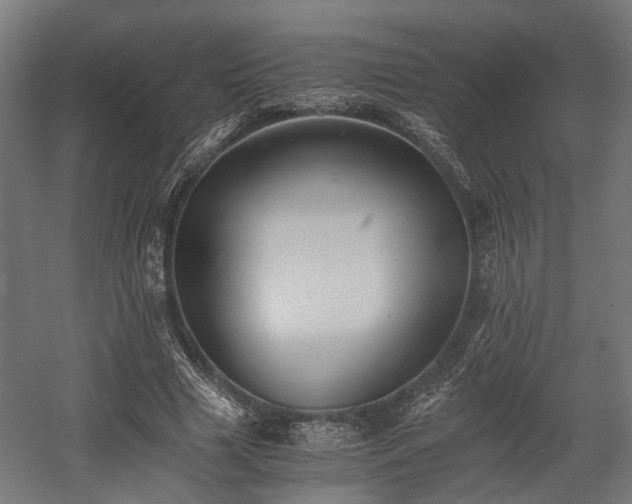X0000058760633200510031020