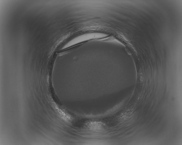 X0000058760637200510031020