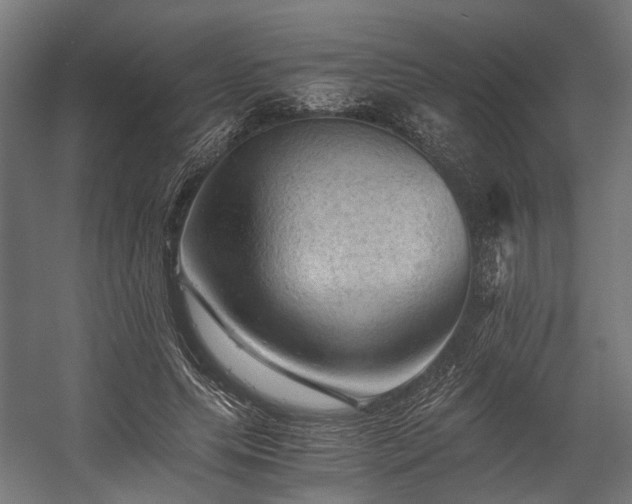 X0000058760639200510031020