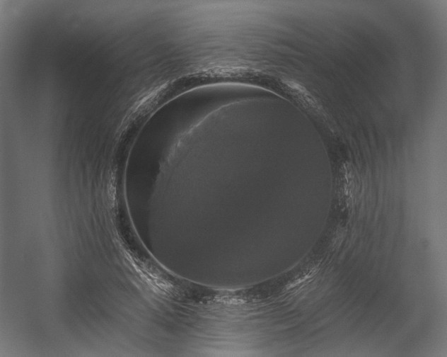 X0000058760640200510031020