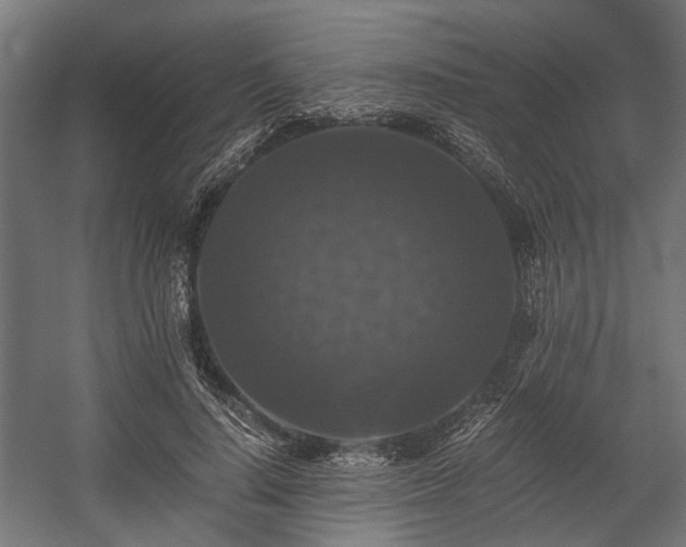 X0000058760644200510031020