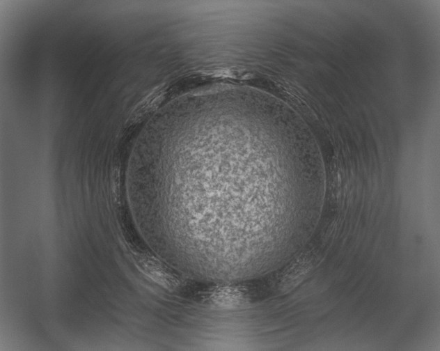 X0000058760656200510031020