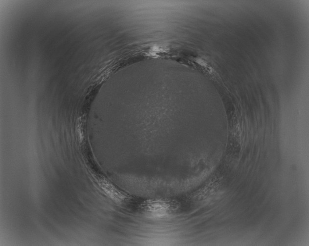 X0000058760658200510031020