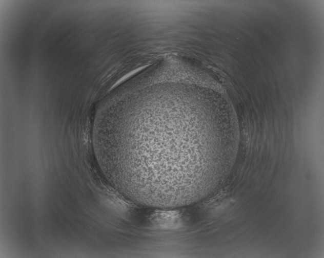 X0000058760665200510031020