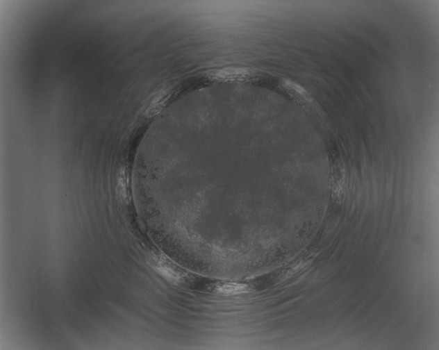 X0000058760669200510031020