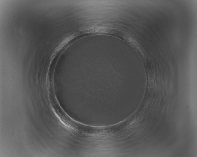 X0000058760674200510031019