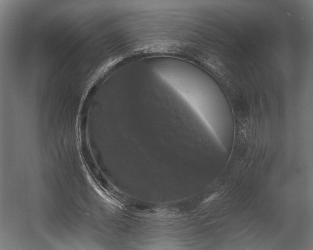X0000058760678200510031019